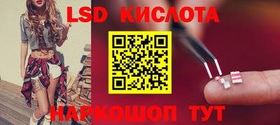 МДПВ Кингисепп