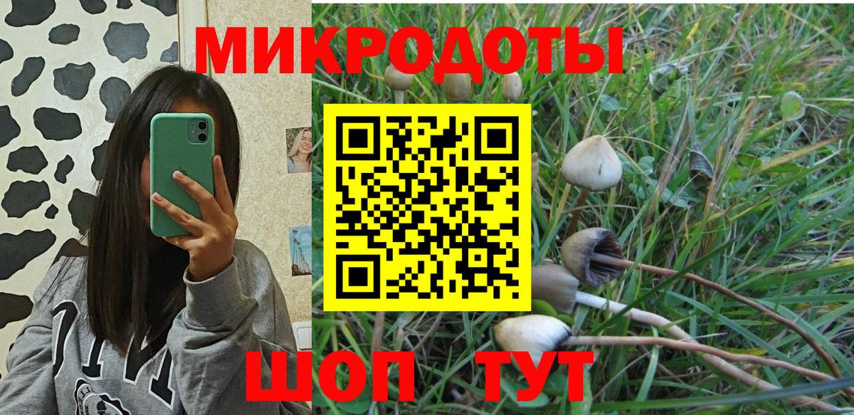 Псилоцибиновые грибы Psilocybine cubensis  Вход с VPN  Кашира 
