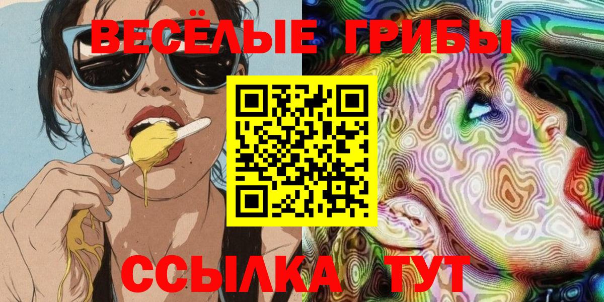 Галлюциногенные грибы Psilocybe Кашира